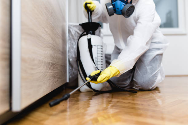 Best Affordable Exterminators  in Hodgkins, IL