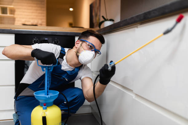 Best Bed Bug Extermination  in Hodgkins, IL