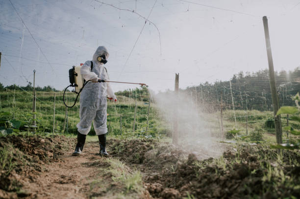 Best Commercial Pest Control Services  in Hodgkins, IL