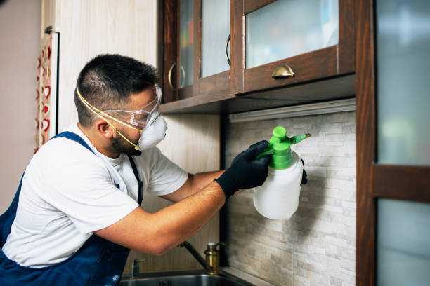 Best Local Pest Control Services  in Hodgkins, IL