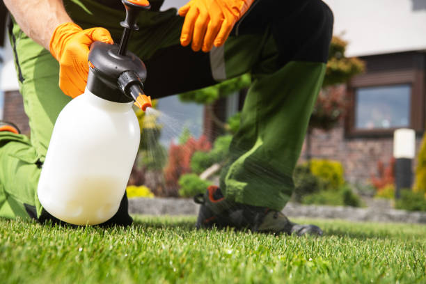 Best Residential Pest Control  in Hodgkins, IL