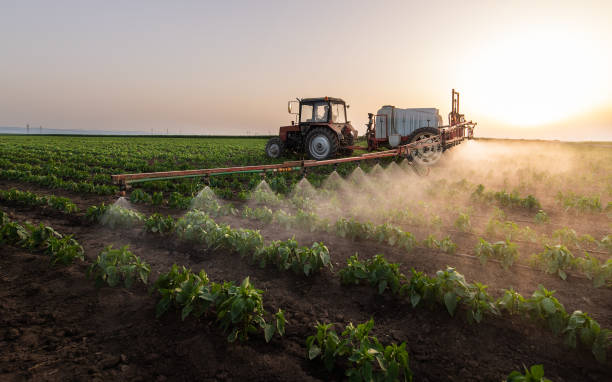 Best Insect Control  in Hodgkins, IL