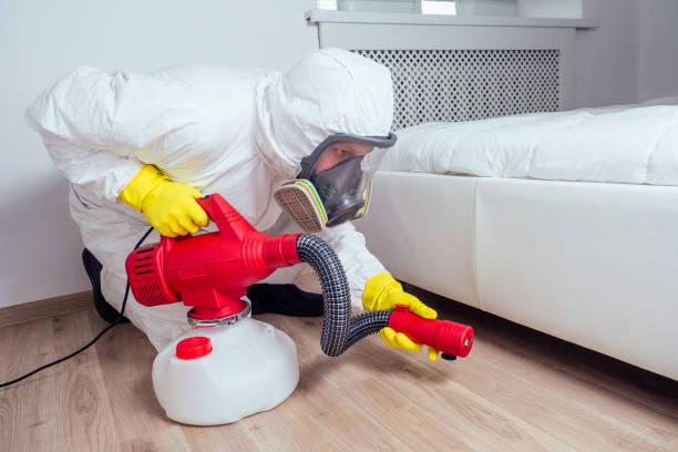 Best Pest Removal Services  in Hodgkins, IL