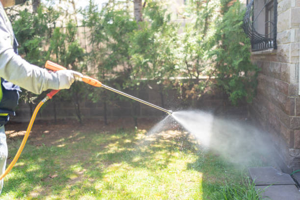 Best Best Pest Control Companies  in Hodgkins, IL