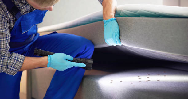 Best Pest Control Treatment  in Hodgkins, IL