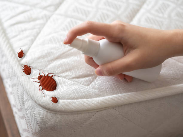 Pest Prevention Services in Hodgkins, IL