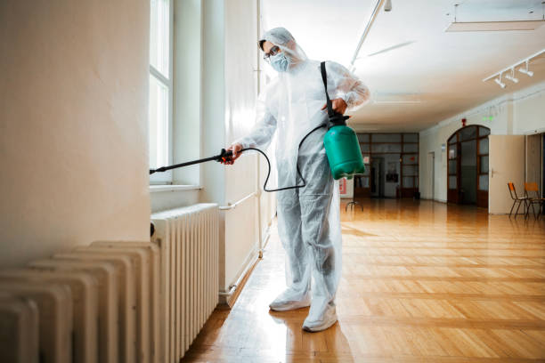 Best Pest Prevention Services  in Hodgkins, IL